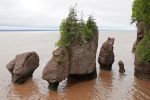 PICTURES/Covered Bridge, Rocks and More Fossils/t_Hopewell Rocks - FLower Pot Rocks2.JPG